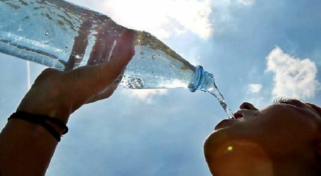 meteo allerta per ondate di calore in campania attesi picchi di 41 gradi non uscite di casa da Ilmattino.it meteo allerta per ondate di calore in campania attesi picchi di 41 gradi non uscite di casa