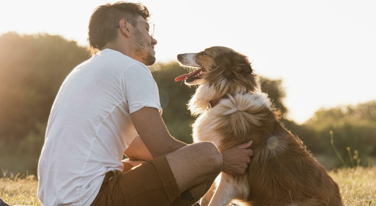 https://statics.cedscdn.it/photos/MED_HIGH/2026/08/26/9726785_26162821_back_view_young_man_with_dog_seaside.jpg