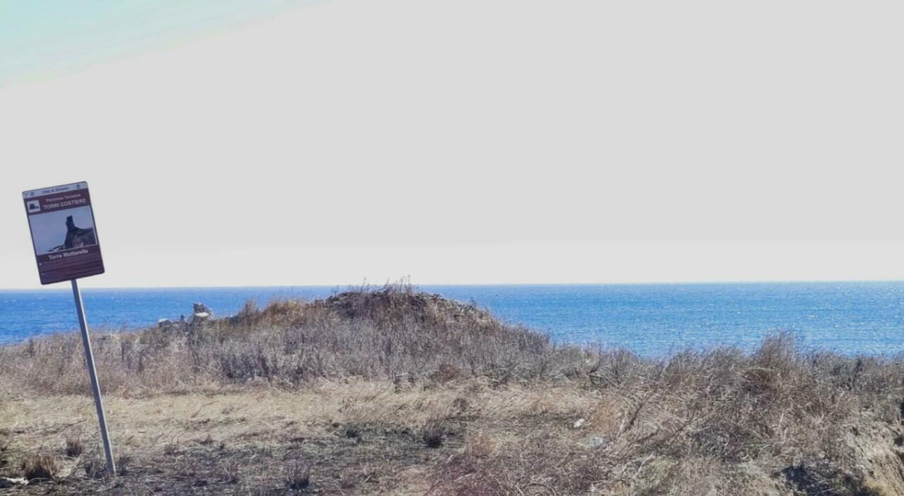 dopo torre mattarelle anche torre testa rischia il crollo i progetti ci sono ma mancano i finanziamenti da Quotidianodipuglia.it dopo torre mattarelle anche torre testa rischia il crollo i progetti ci sono ma mancano i finanziamenti