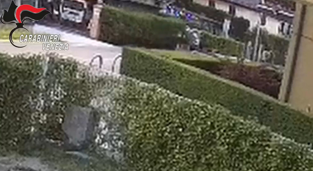 Una donna sfigurata con l’acido, episodi di revenge porn e vandalismi che durano anni