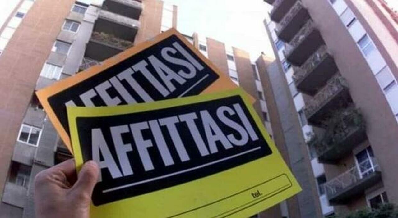 bari aumentano gli affitti per gli studenti oltre 400 euro per una singola tutti i prezzi e il confronto da Quotidianodipuglia.it bari aumentano gli affitti per gli studenti oltre 400 euro per una singola tutti i prezzi e il confronto