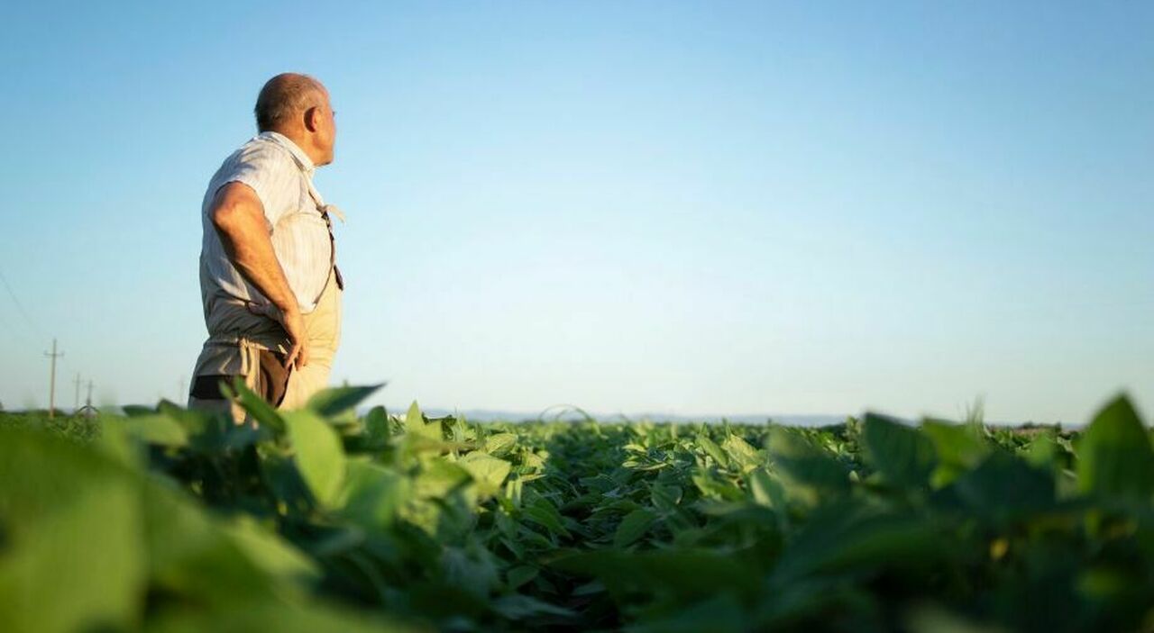 https://statics.cedscdn.it/photos/MED_HIGH/2026/08/28/9730012_28100750_lavoro_azienda_tech_agricoltura_bancarotta_successo_lavoro_shashi_kumar.jpg
