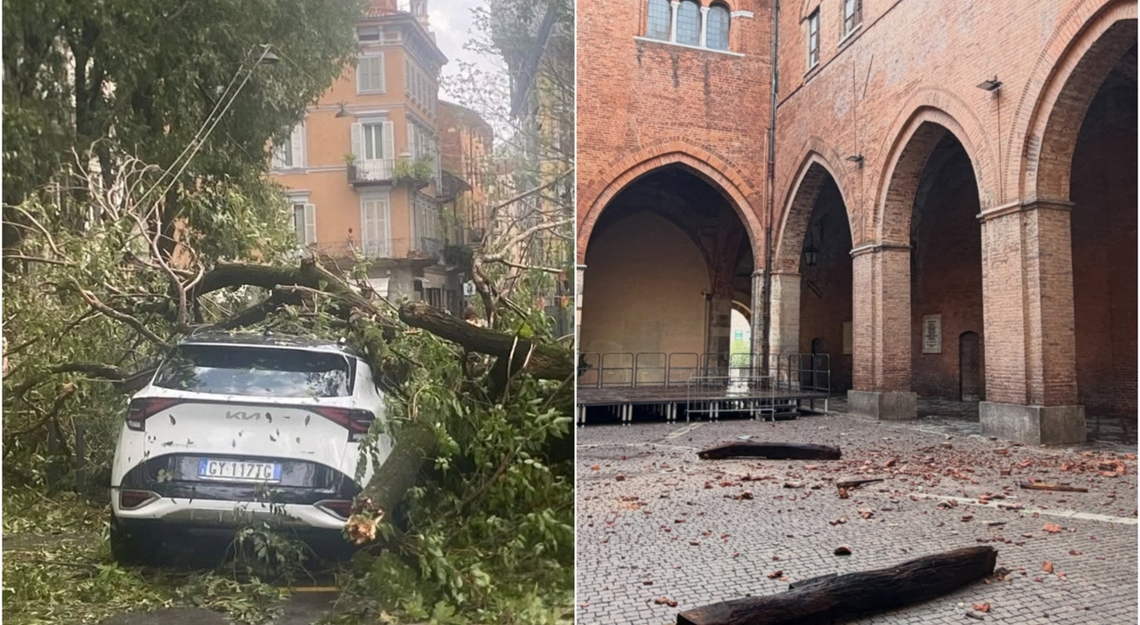 https://statics.cedscdn.it/photos/MED_HIGH/2026/08/28/9730504_28184924_cremona.jpg