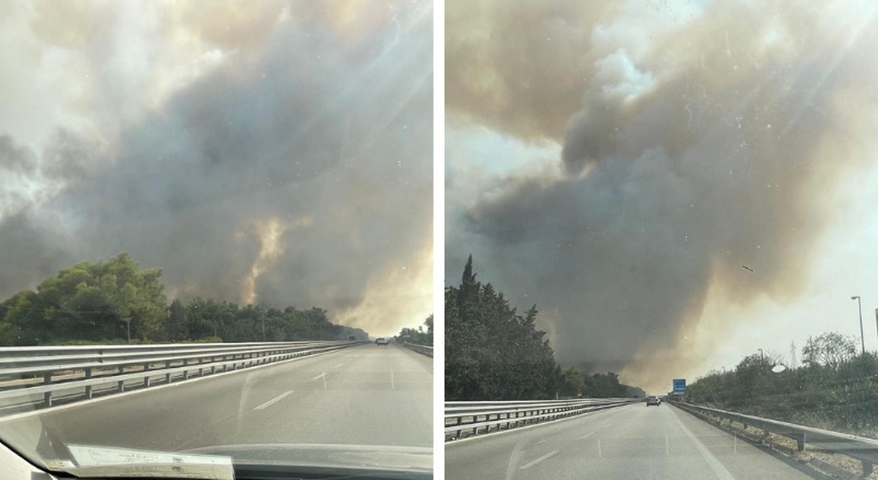 incendio sulla lecce gallipoli lambite alcune villette fumo in strada da Quotidianodipuglia.it incendio sulla lecce gallipoli lambite alcune villette fumo in strada