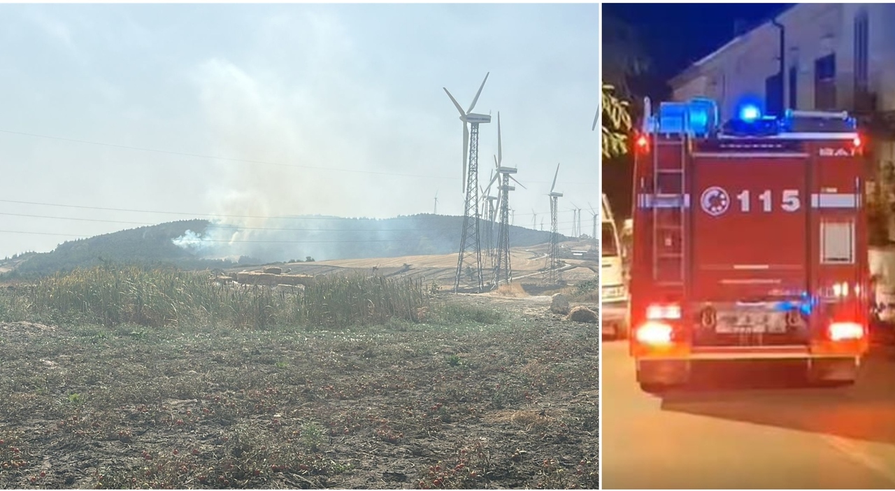 foggia roghi senza sosta riprende l incendio ad alberona allarme e fumo nel borgo da Quotidianodipuglia.it foggia roghi senza sosta riprende l incendio ad alberona allarme e fumo nel borgo