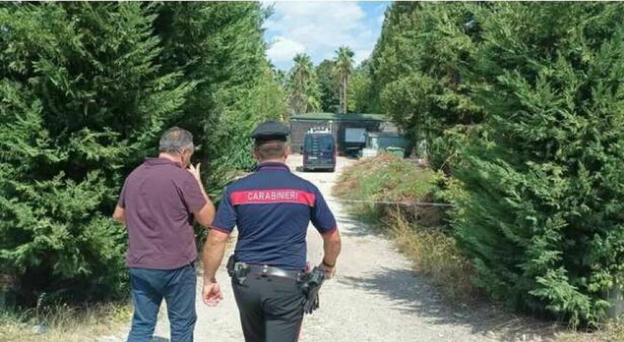 https://statics.cedscdn.it/photos/MED_HIGH/2026/09/01/9737118_01141453_benevento.jpg