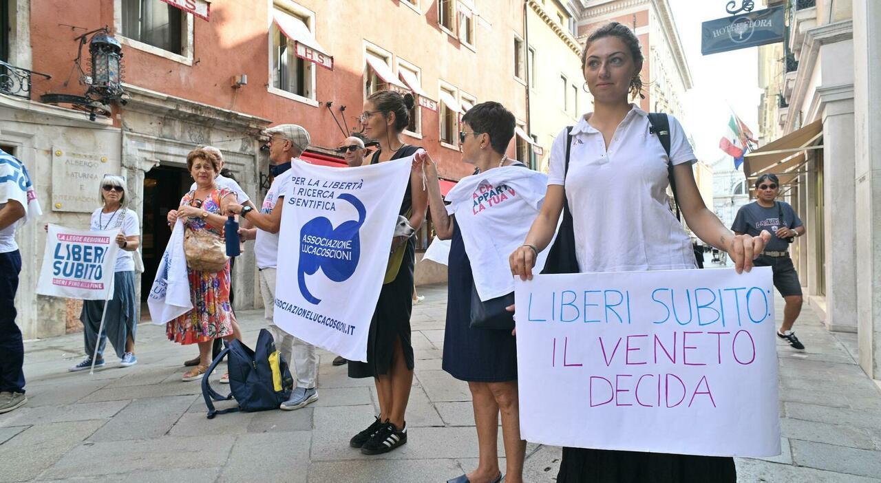 fine vita dopo il dibattito e le manifestazioni 232 il momento del voto segui la diretta da Ilgazzettino.it fine vita dopo il dibattito e le manifestazioni 232 il momento del voto segui la diretta