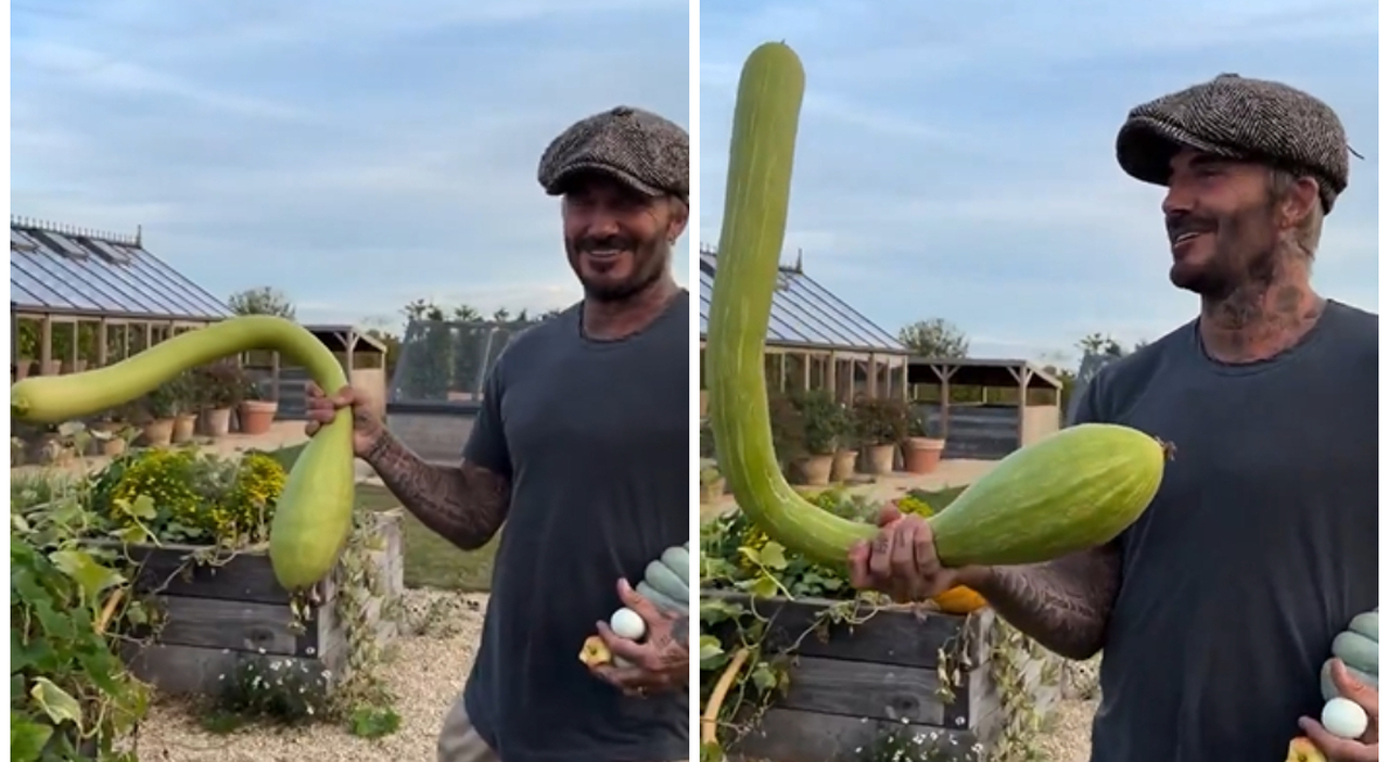 https://statics.cedscdn.it/photos/MED_HIGH/2026/09/02/9738859_02111039_david_beckham_zucca_forma_bizzarra_siparietto_victoria_beckham.jpg