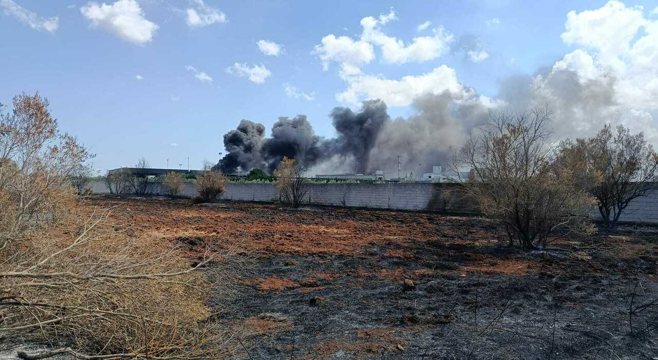 lequile incendio ecocentro il forte vento rialimenta il rogo da Quotidianodipuglia.it lequile incendio ecocentro il forte vento rialimenta il rogo