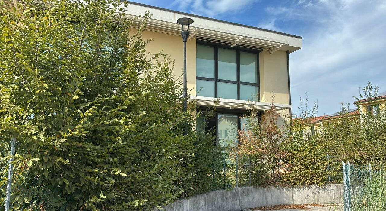 scuola presa a sassate dai baby vandali danneggiate 40 vetrate corsa contro il tempo per ripararle entro l inizio delle lezioni chi sa parli da Ilgazzettino.it scuola presa a sassate dai baby vandali danneggiate 40 vetrate corsa contro il tempo per ripararle entro l inizio delle lezioni chi sa parli