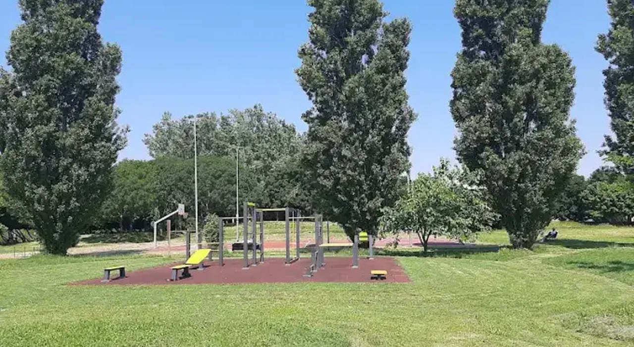 https://statics.cedscdn.it/photos/MED_HIGH/2026/09/05/9745191_05105645_bambina_6_anni_picchiata_parco_coetanei_san_donnino_bologna.jpg