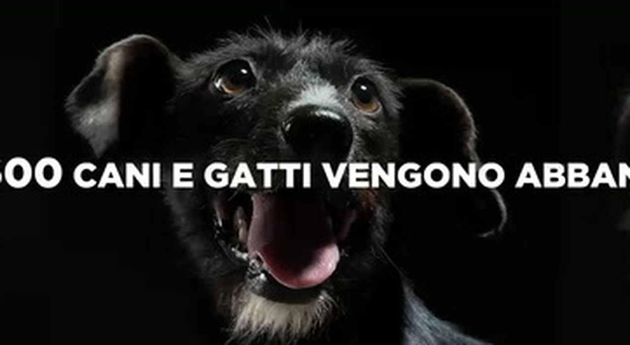 https://statics.cedscdn.it/photos/MED_HIGH/2026/09/07/9749035_poster.jpg