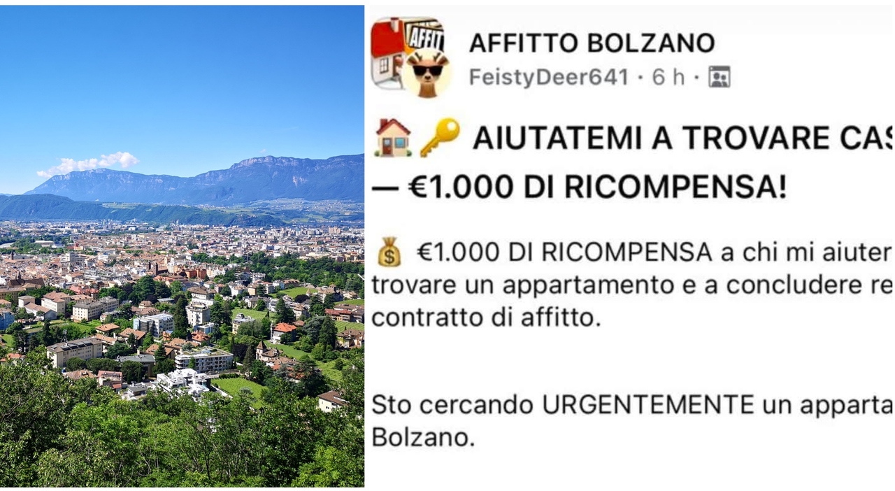 «Offro 1000 euro a chi mi trova casa in affitto con urgenza»: l'annuncio disperato e la crisi abitativa