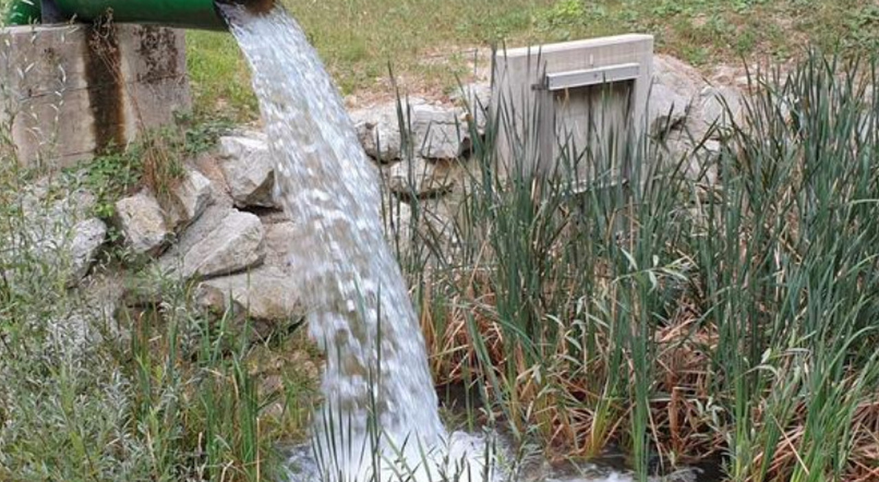 sete di burano si raddoppia il prelievo di acqua 300 litri al secondo il presidente dellaato berloni una scelta obbligata da Corriereadriatico.it sete di burano si raddoppia il prelievo di acqua 300 litri al secondo il presidente dellaato berloni una scelta obbligata