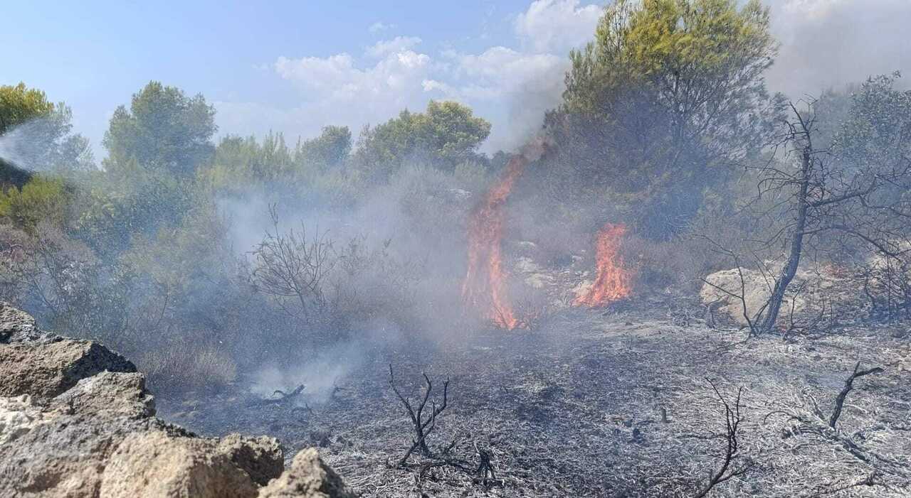 incendio a due passi dalla provinciale paura tra i residenti da Quotidianodipuglia.it incendio a due passi dalla provinciale paura tra i residenti
