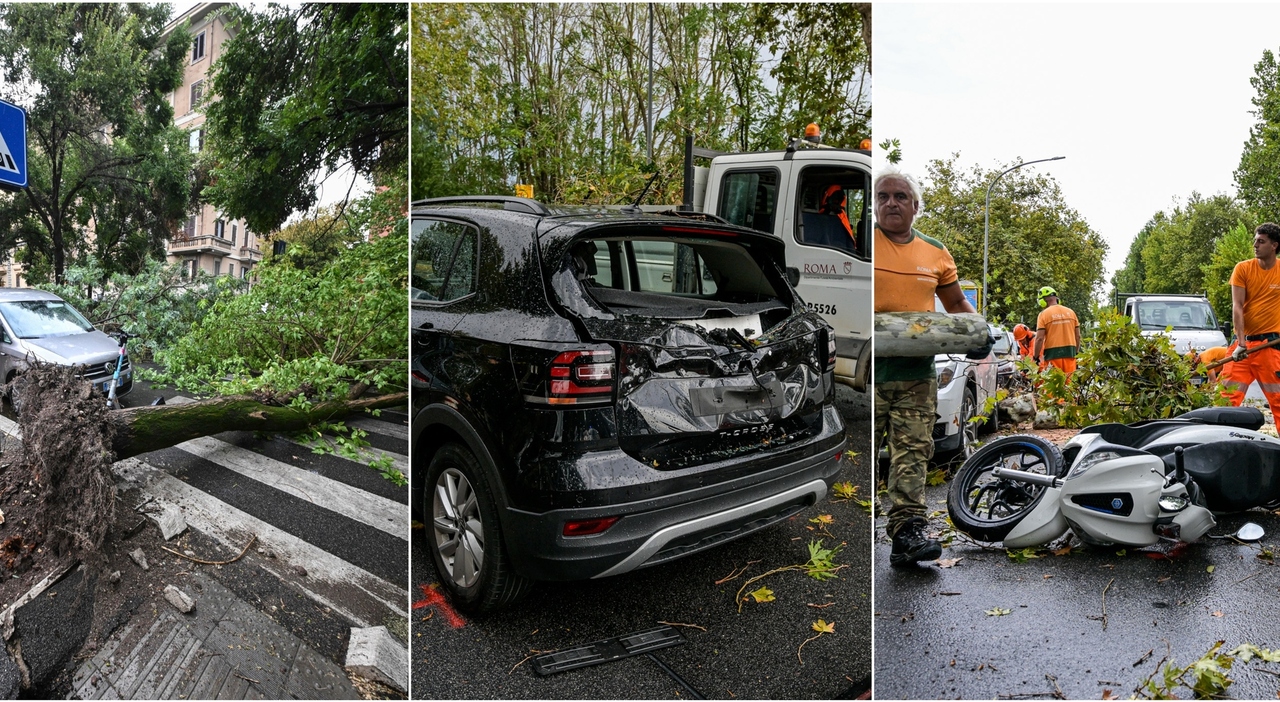bomba d acqua a roma temporali e vento allagamenti e alberi caduti danneggiate diverse auto da Ilmessaggero.it bomba d acqua a roma temporali e vento allagamenti e alberi caduti danneggiate diverse auto