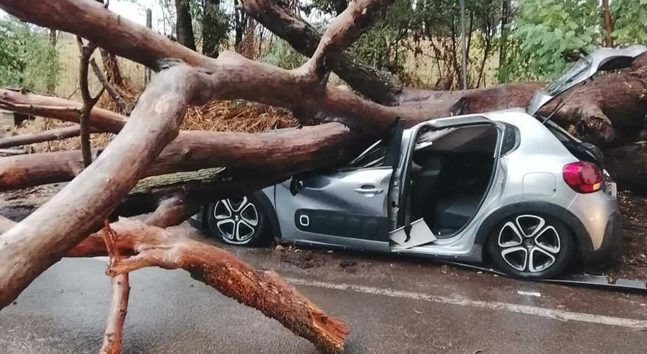 bomba d acqua a roma albero cade su un auto in via ardeatina un ferito grave chiuse tre stazioni della metro a da Ilmessaggero.it bomba d acqua a roma albero cade su un auto in via ardeatina un ferito grave chiuse tre stazioni della metro a