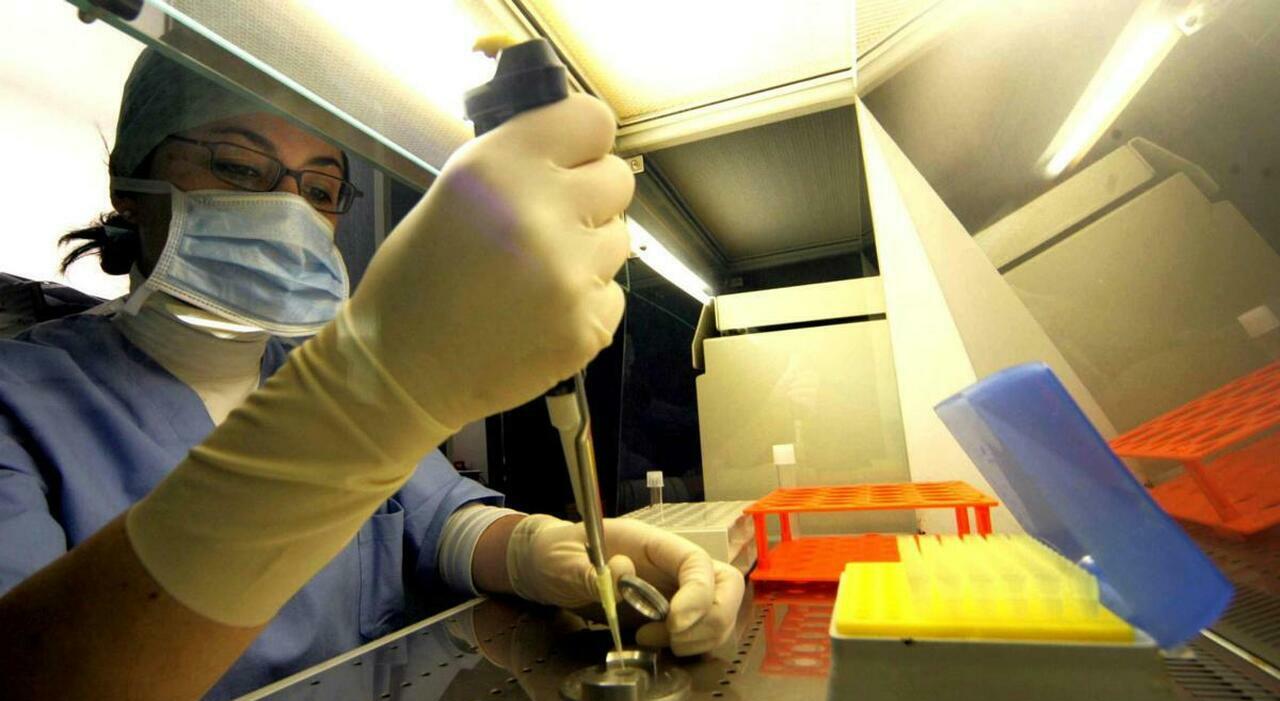 fertilit224 procreazione assistita bonus di 3mila euro per aiutare le donne da Ilmattino.it fertilit224 procreazione assistita bonus di 3mila euro per aiutare le donne