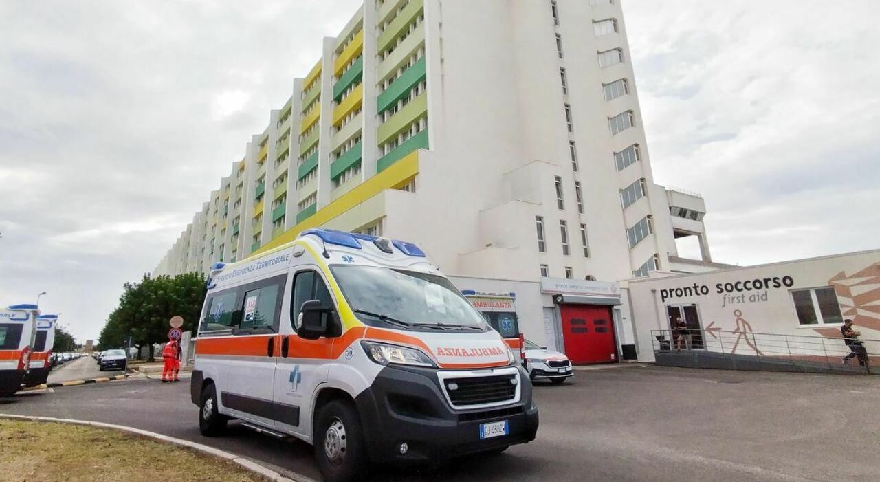west nile allarme nei comuni parte la disinfestazione da Quotidianodipuglia.it west nile allarme nei comuni parte la disinfestazione