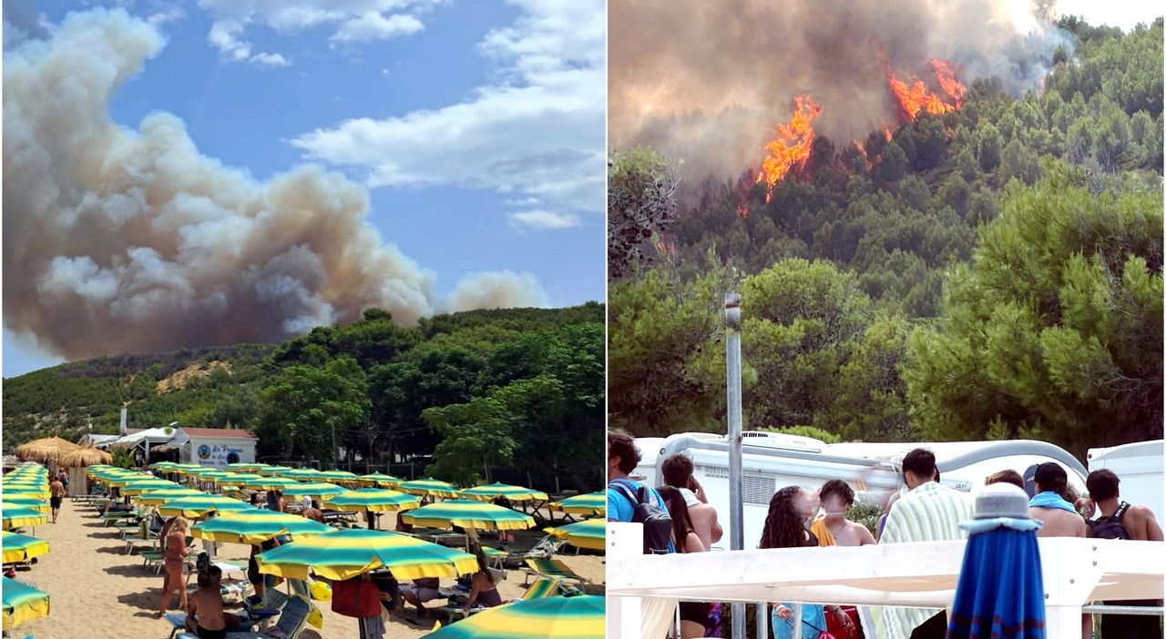 https://statics.cedscdn.it/photos/MED_HIGH/2026/09/13/9761135_13192538_incendi.jpg