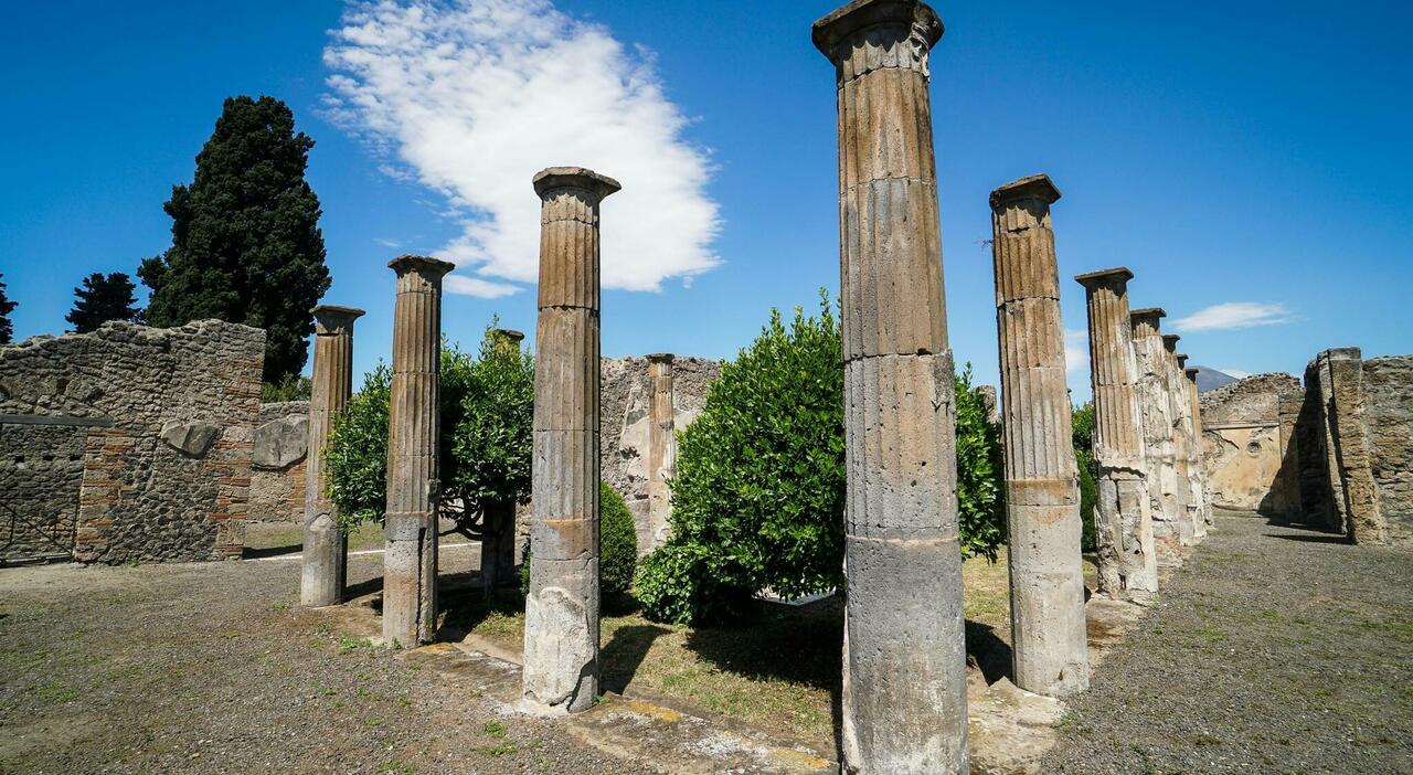 https://statics.cedscdn.it/photos/MED_HIGH/2026/09/17/9769277_17153935_violenza_pompei_ragazzo_custode_cosa_e_successo.jpg