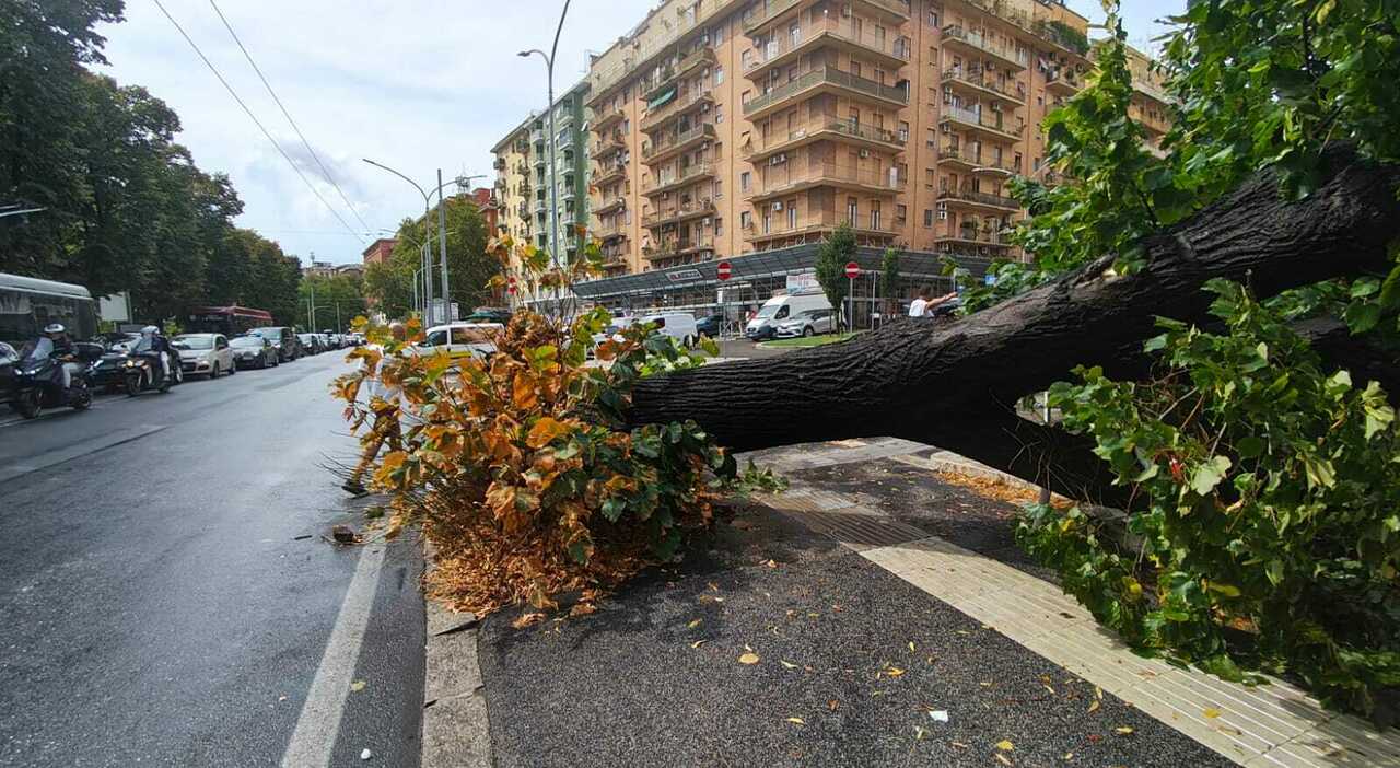 violenta bomba d acqua su roma citt224 in tilt allagamenti da ponte milvio a prati fiscali evacuato un asilo da Ilmessaggero.it violenta bomba d acqua su roma citt224 in tilt allagamenti da ponte milvio a prati fiscali evacuato un asilo