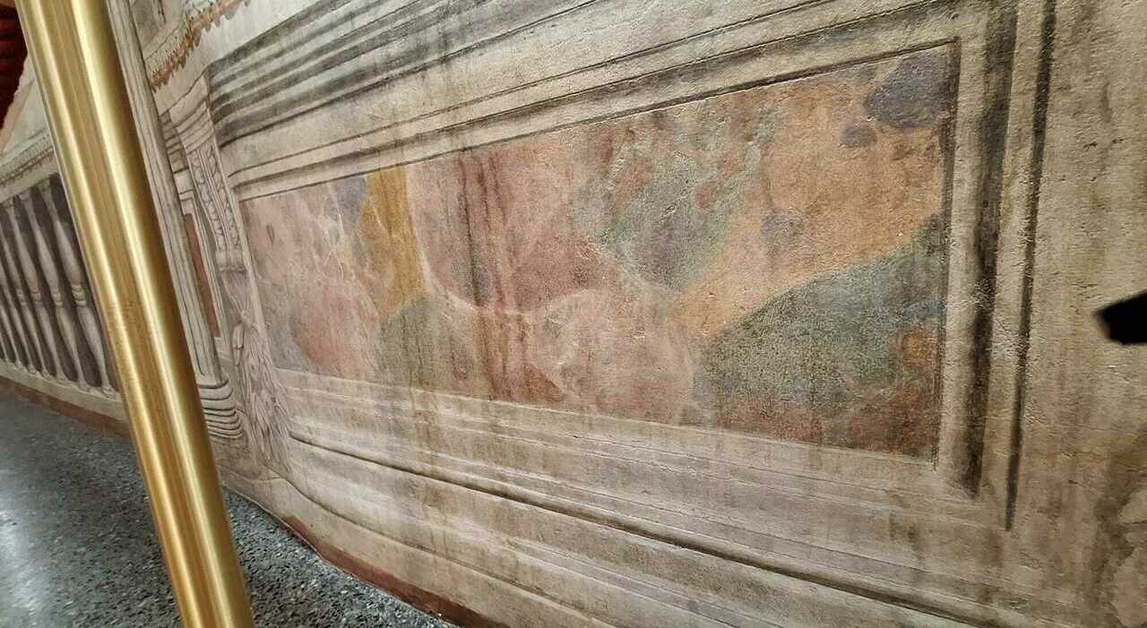 palazzo ragazzoni acqua sugli affreschi della sala degli imperatori aloni e colature sui preziosi dipinti da Ilgazzettino.it palazzo ragazzoni acqua sugli affreschi della sala degli imperatori aloni e colature sui preziosi dipinti