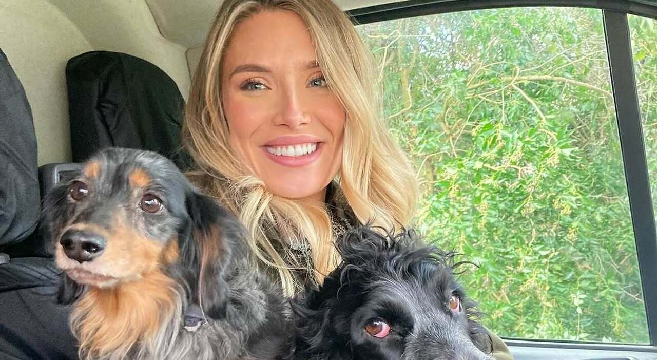 https://statics.cedscdn.it/photos/MED_HIGH/2026/09/20/9774802_20102613_lascia_lavoro_avvocato_diventa_dog_sitter_guadagno_liz_east_cambio_vita.jpg