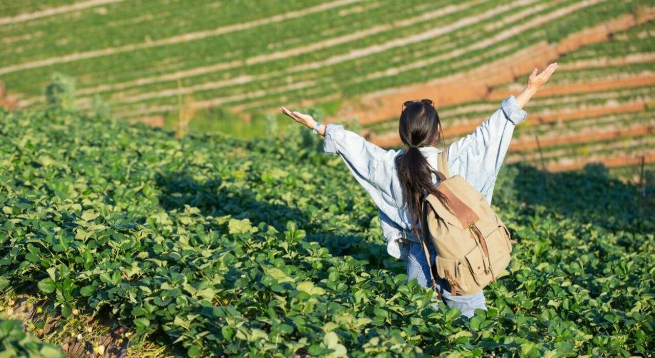 https://statics.cedscdn.it/photos/MED_HIGH/2026/09/22/9778654_22122804_lavoro_viaggi_europa_russia_gestire_fattoria_corea_del_sud.jpg