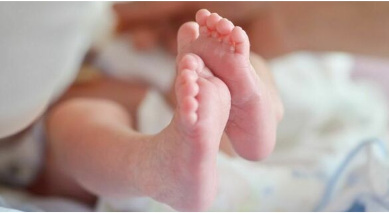 https://statics.cedscdn.it/photos/MED_HIGH/2026/09/24/9783387_24164943_neonato_muore_poche_ore_dopo_nascita_22_indagati_perugia.jpg
