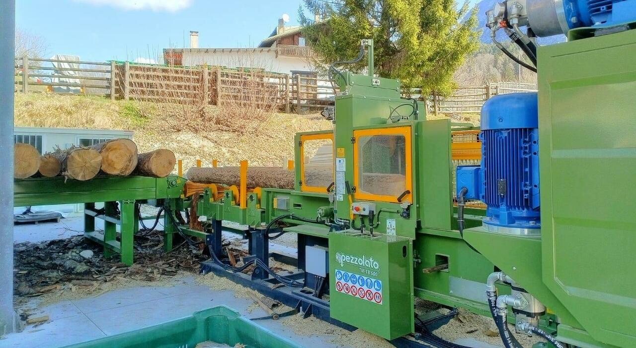 gasolio alle stelle boom di richieste di legna da ardere corsa delle famiglie a far provvista da Ilgazzettino.it gasolio alle stelle boom di richieste di legna da ardere corsa delle famiglie a far provvista