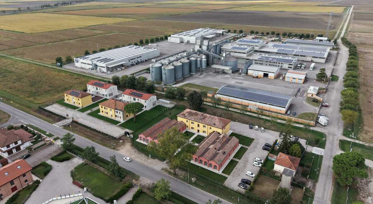 agricoltura del futuro a jolanda di savoia nasce il nuovo polo internazionale opportunit224 anche per i giovani polesani da Ilgazzettino.it agricoltura del futuro a jolanda di savoia nasce il nuovo polo internazionale opportunit224 anche per i giovani polesani