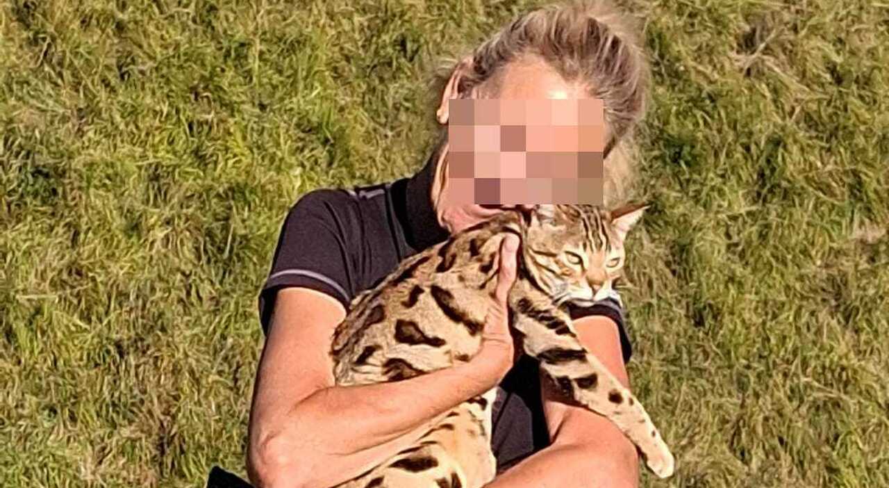 https://statics.cedscdn.it/photos/MED_HIGH/2026/09/25/9785936_25181619_ritrovato_rocky_gatto_influencer_cortina.jpg