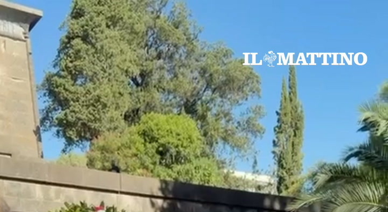 https://statics.cedscdn.it/photos/MED_HIGH/2026/09/28/9790711_poster.jpg