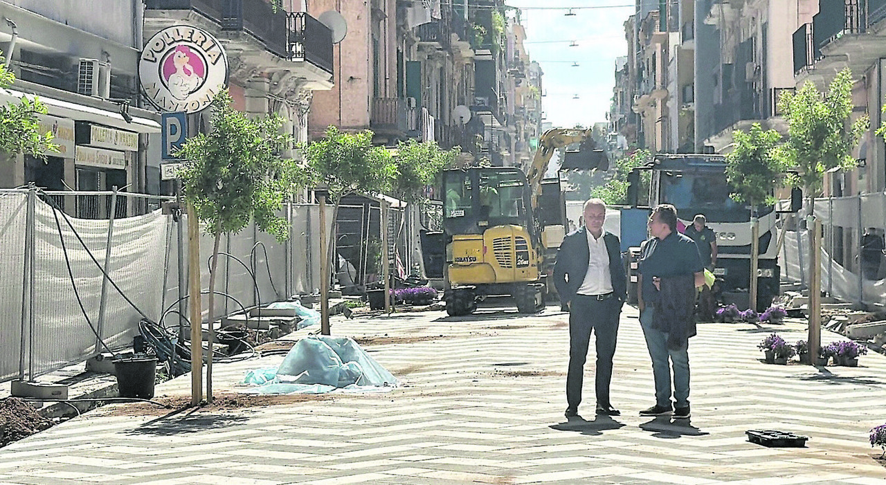 bari via manzoni diventa viale alberato riapre il primo tratto pedonale da Quotidianodipuglia.it bari via manzoni diventa viale alberato riapre il primo tratto pedonale