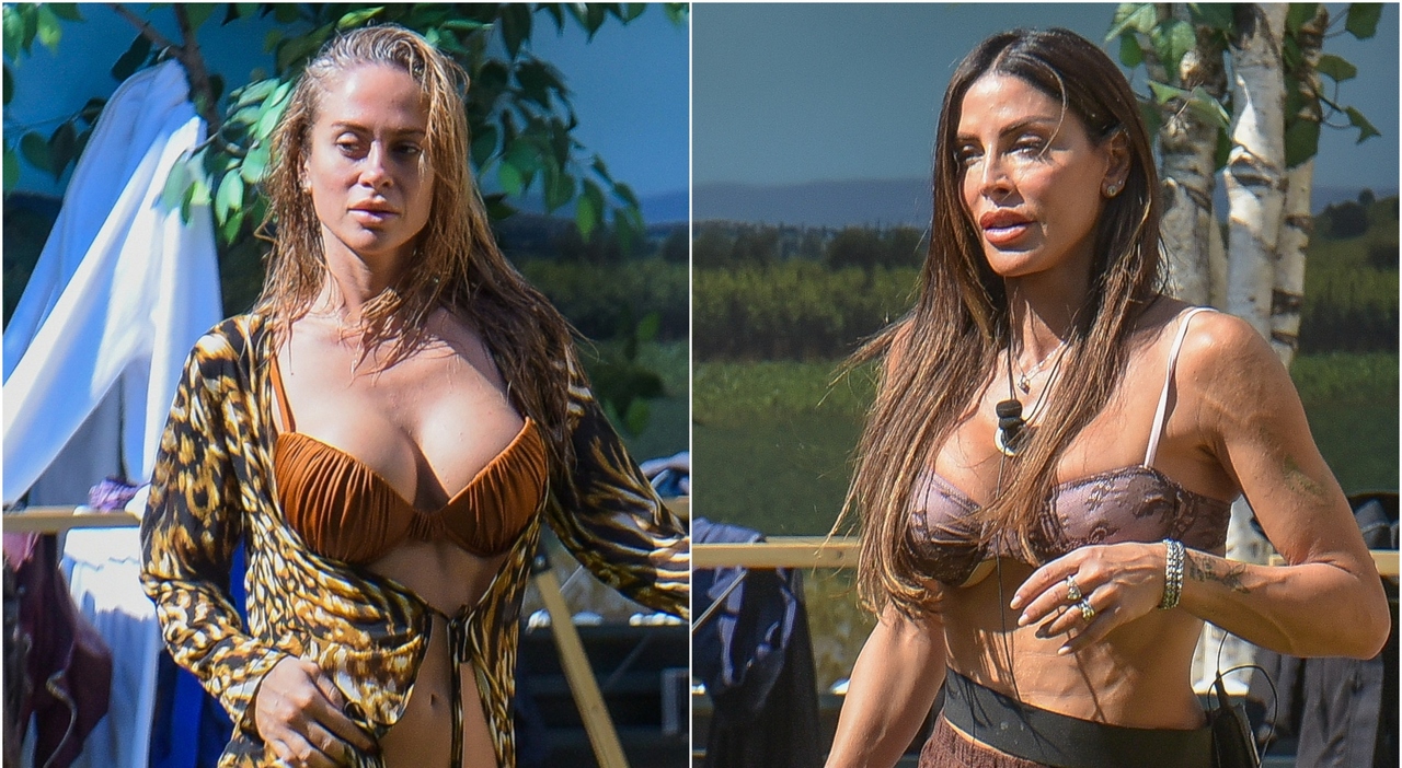 https://statics.cedscdn.it/photos/MED_HIGH/2026/10/02/9800066_02180717_gfvip_guendalina_contro_federica.jpg