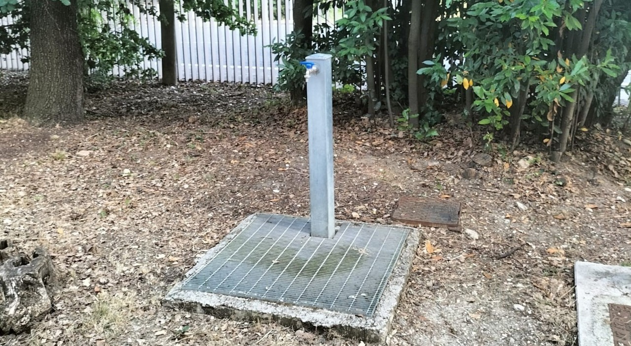 ci sono i batteri chiusa la fontana a porta romana sospensione precauzionale ma la ciip tranquillizza problema ora risolto da Corriereadriatico.it ci sono i batteri chiusa la fontana a porta romana sospensione precauzionale ma la ciip tranquillizza problema ora risolto
