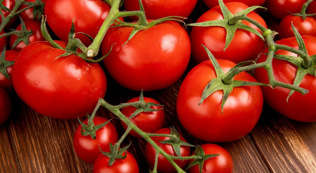 https://statics.cedscdn.it/photos/MED_HIGH/2026/10/03/9801710_03133916_pomodori.jpg