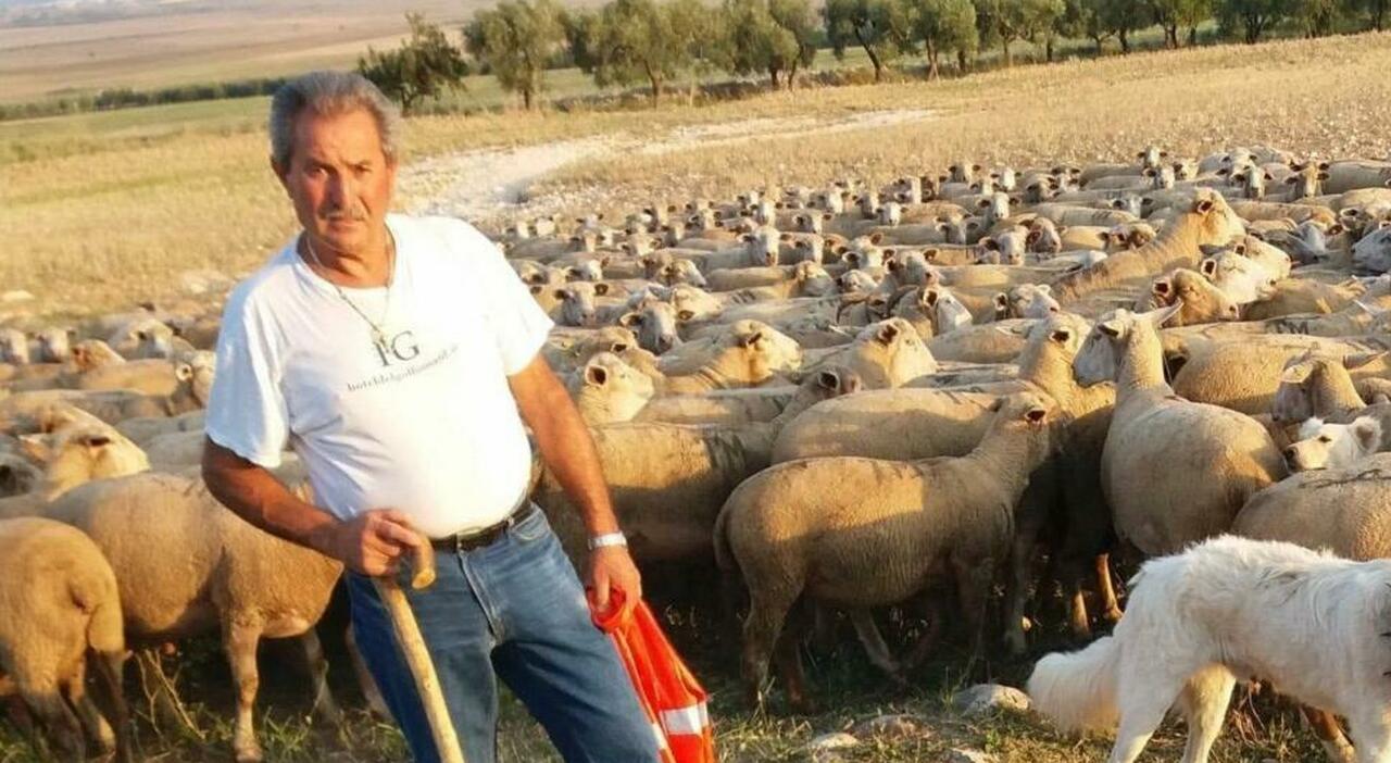 https://statics.cedscdn.it/photos/MED_HIGH/2026/10/04/9803937_04211146_michele_turco_morto_pastore_gargano.jpg