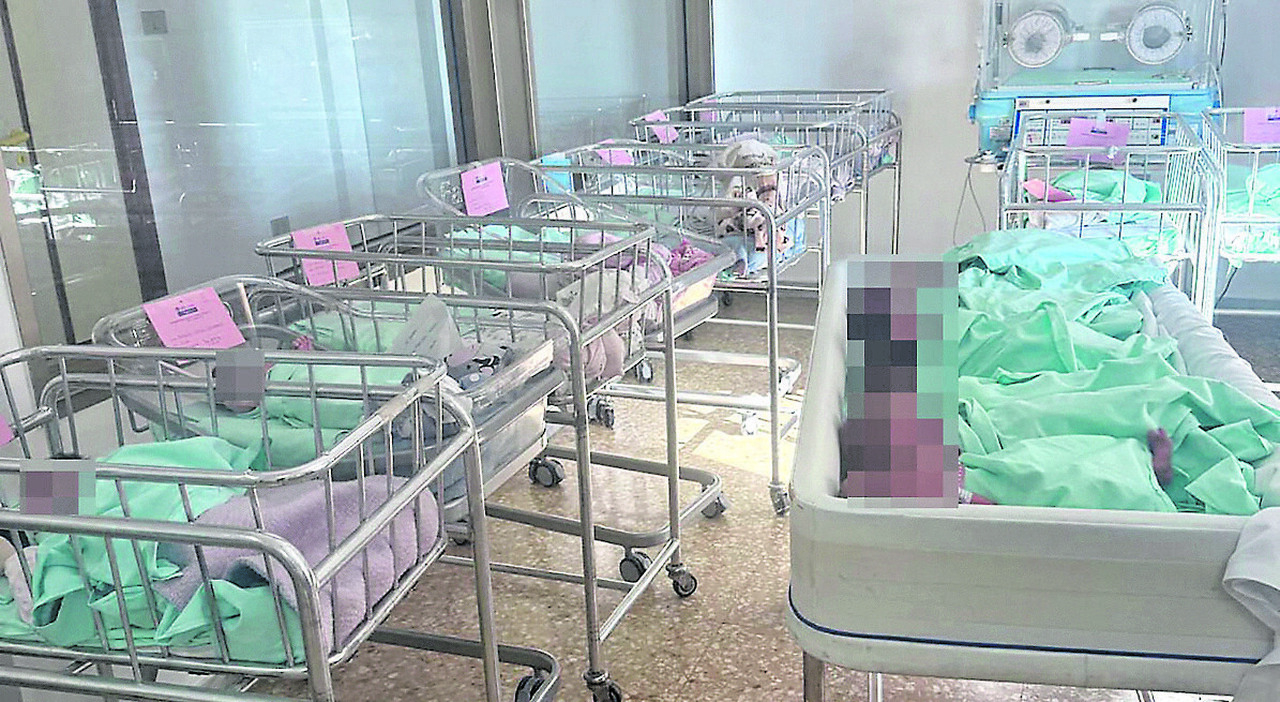 boom di nascite a galatina 7 neonati in 24 ore all ospedale santa caterina novella da Quotidianodipuglia.it boom di nascite a galatina 7 neonati in 24 ore all ospedale santa caterina novella