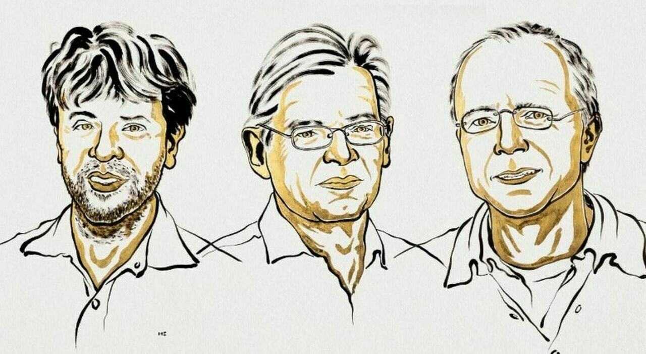 lalga che cerca la luce e accende il cervello ecco il nobel per la medicina da Ilmattino.it lalga che cerca la luce e accende il cervello ecco il nobel per la medicina