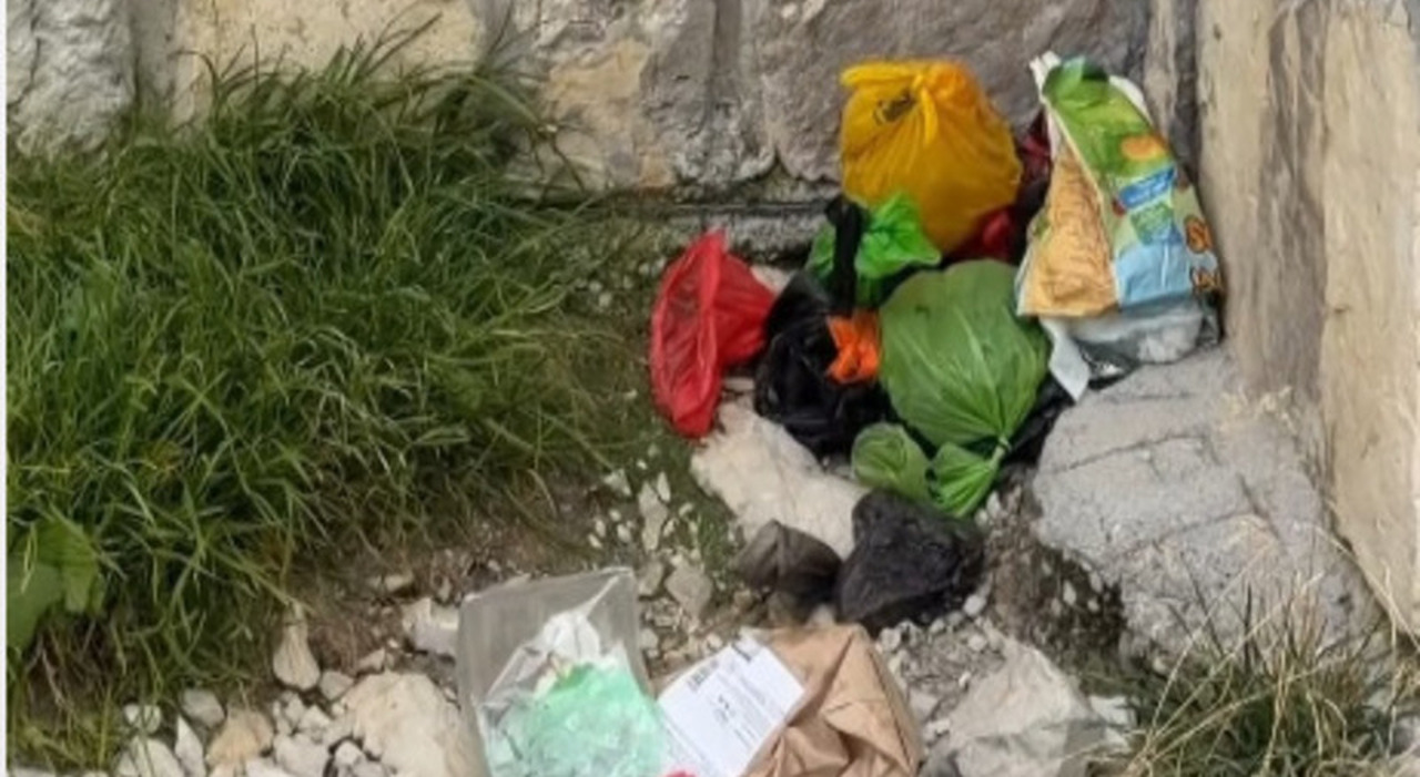 tre cime un cimitero di sacchetti pieni di escrementi di cani e rifiuti abbandonati lungo i sentieri da Ilgazzettino.it tre cime un cimitero di sacchetti pieni di escrementi di cani e rifiuti abbandonati lungo i sentieri