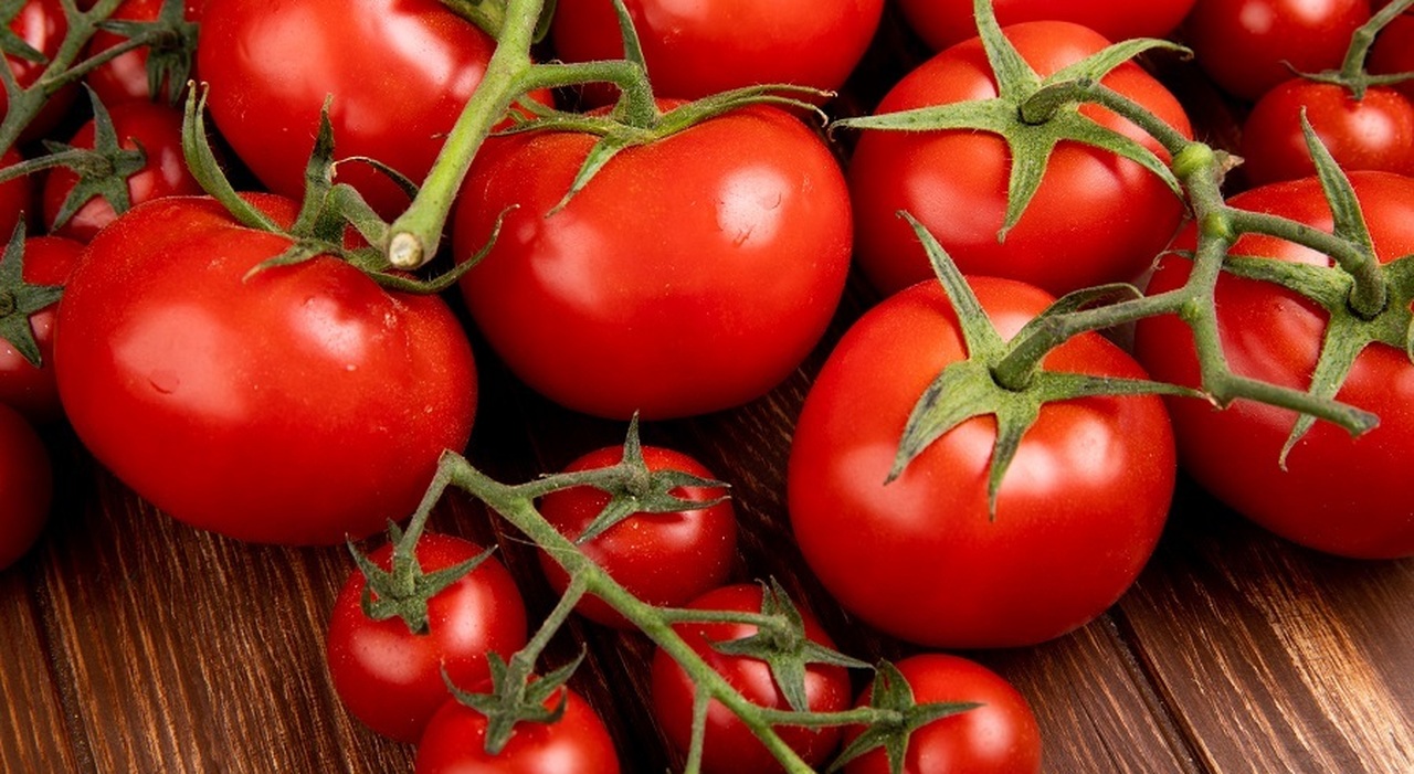 https://statics.cedscdn.it/photos/MED_HIGH/2026/10/07/9809521_07104257_pomodori_salmonella.jpg