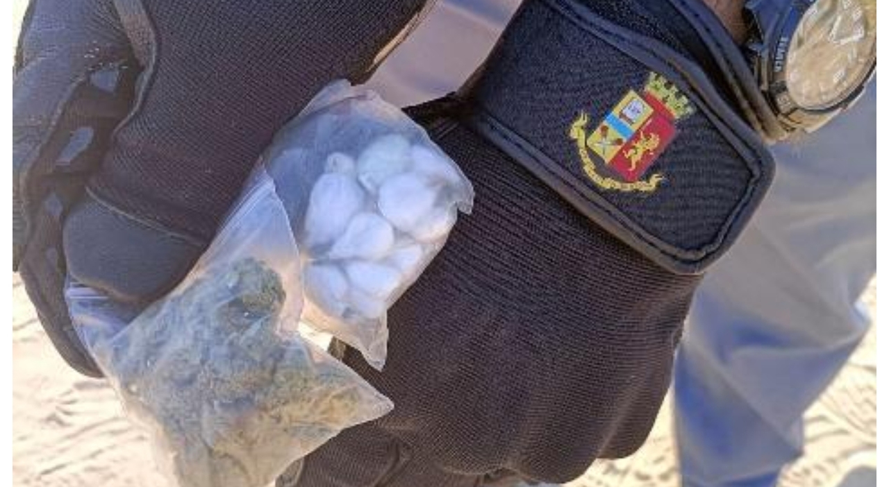cocaina nei covi e sotto l albero di cachi i retroscena del blitz in salento indagini da una telefonata anonima da Quotidianodipuglia.it cocaina nei covi e sotto l albero di cachi i retroscena del blitz in salento indagini da una telefonata anonima