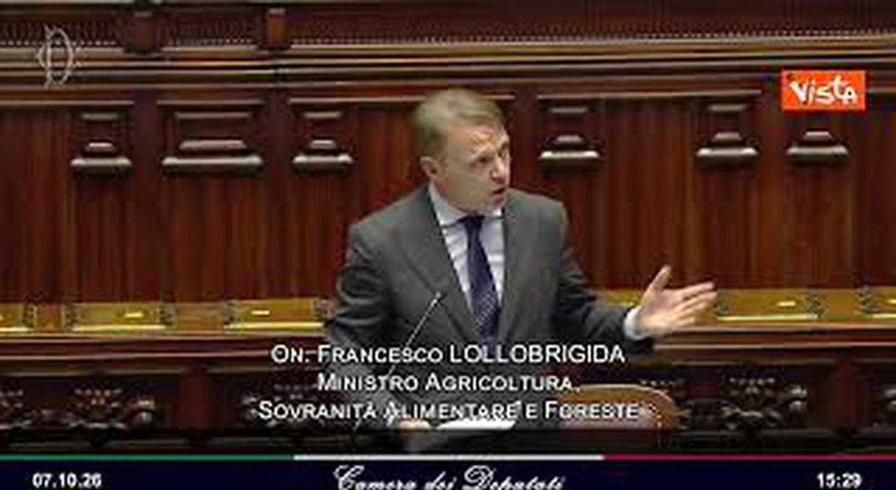 https://statics.cedscdn.it/photos/MED_HIGH/2026/10/07/9810254_poster.jpg