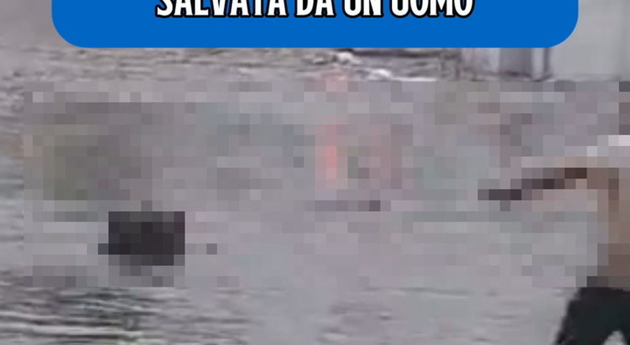 https://statics.cedscdn.it/photos/MED_HIGH/2026/10/08/9812432_poster.jpg