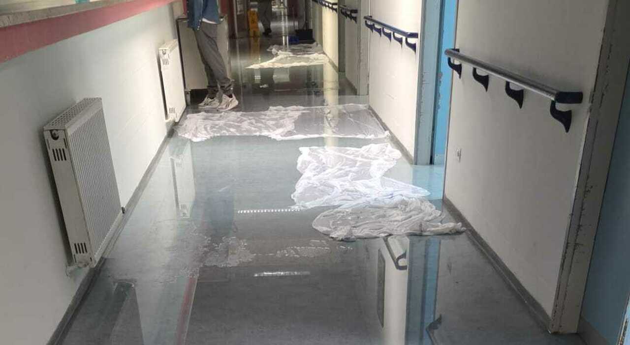 a brindisi piove anche in ospedale allagato un laboratorio da Quotidianodipuglia.it a brindisi piove anche in ospedale allagato un laboratorio
