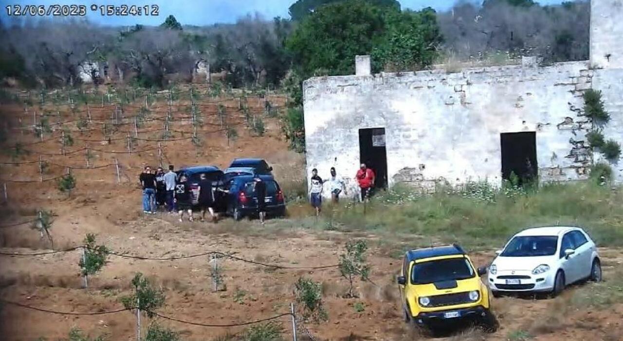 sangue droga e i riti della scu ecco i segreti nei verbali del pentito da Quotidianodipuglia.it sangue droga e i riti della scu ecco i segreti nei verbali del pentito
