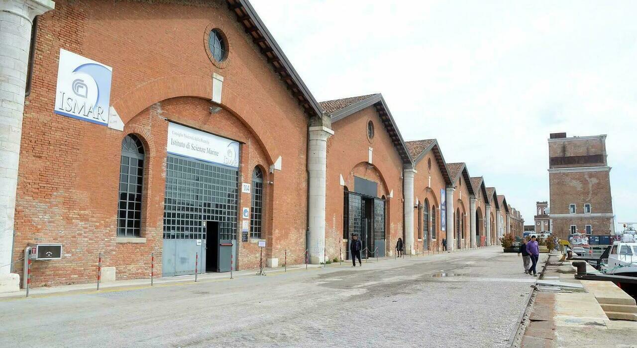 esclusa per la maternit224 il giudice la fa assumere al cnr giorni non conteggiati era scivolata alla fine della graduatoria da Ilgazzettino.it esclusa per la maternit224 il giudice la fa assumere al cnr giorni non conteggiati era scivolata alla fine della graduatoria