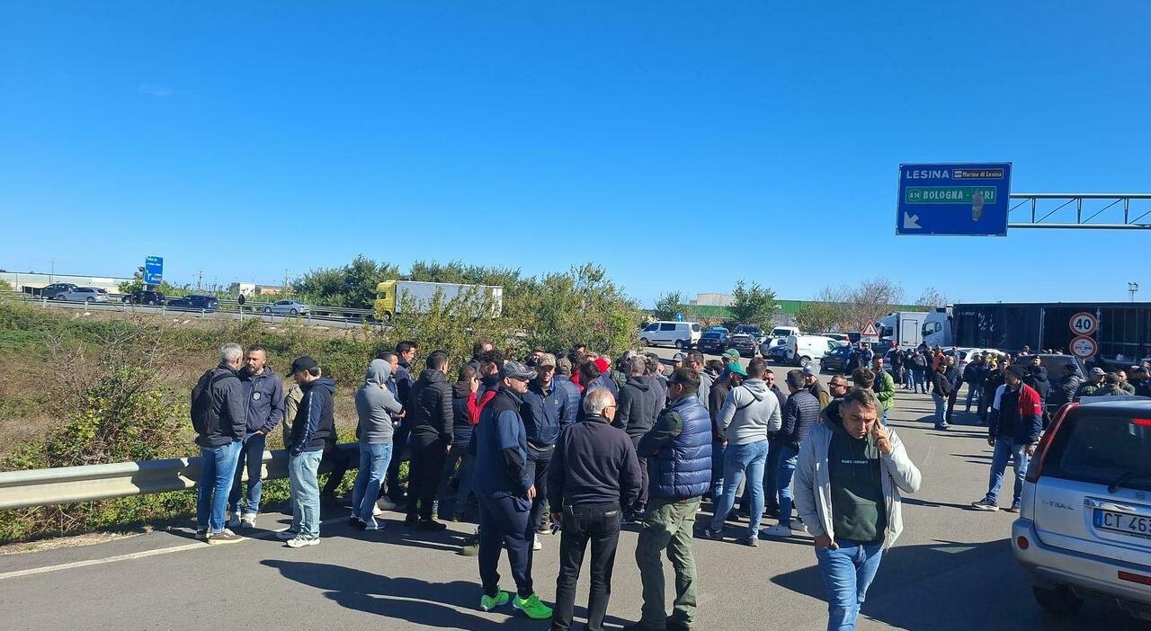 protesta autotrasportatori foggia blocchi e rischio scaffali vuoti nei supermercati da Quotidianodipuglia.it protesta autotrasportatori foggia blocchi e rischio scaffali vuoti nei supermercati